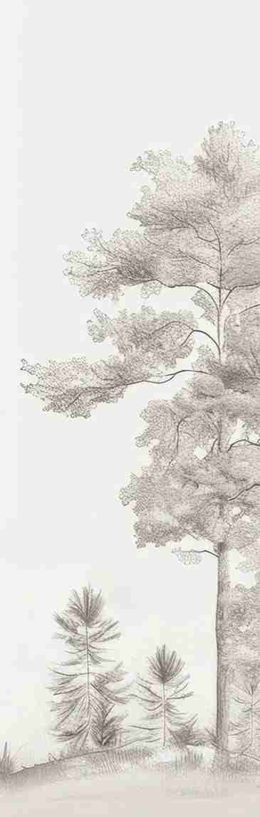 Douceurs des bois - Papier Peint Panoramique Arbres en Beige et Gris