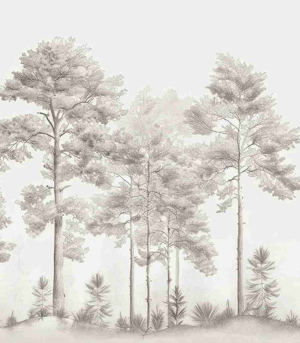 Douceurs des bois - Papier Peint Panoramique Arbres en Beige et Gris - Illulart: Papier peint panoramique