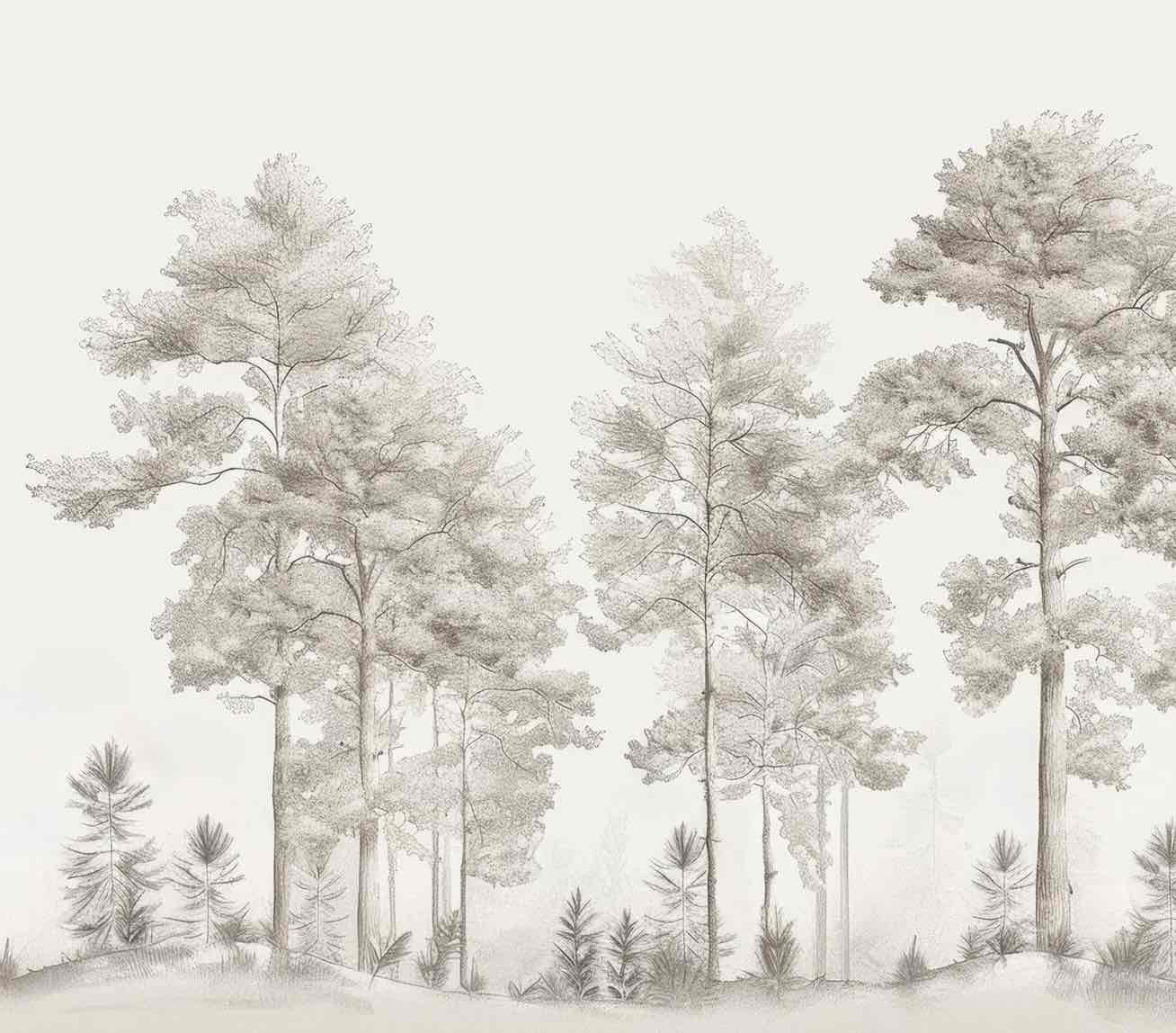 Douceurs des bois - Papier Peint Panoramique Arbres en Beige et Gris - Illulart: Papier peint panoramique