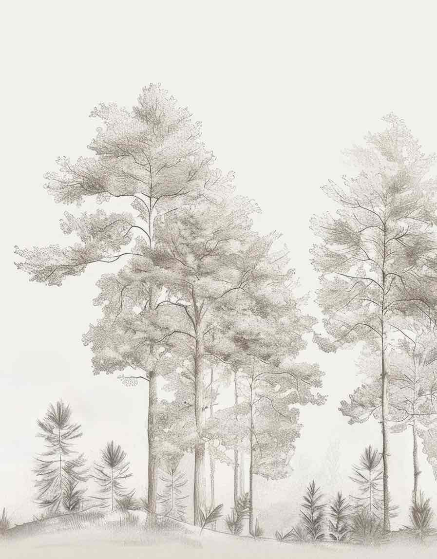 Douceurs des bois - Papier Peint Panoramique Arbres en Beige et Gris - Illulart: Papier peint panoramique