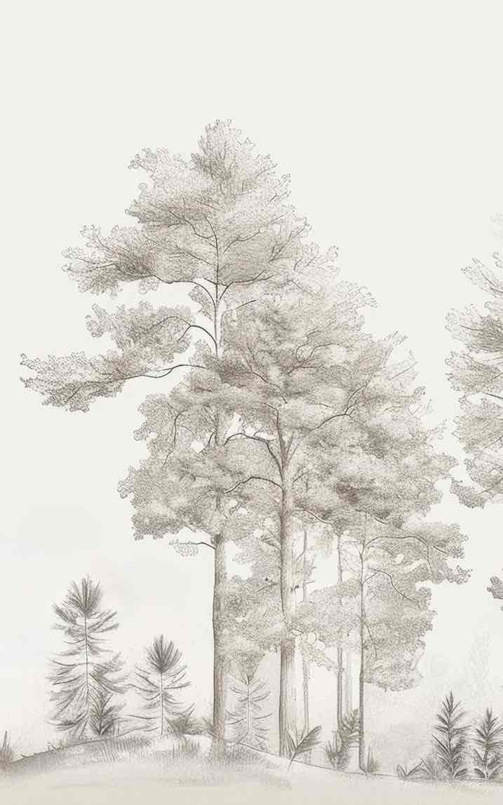 Douceurs des bois - Papier Peint Panoramique Arbres en Beige et Gris - Illulart: Papier peint panoramique