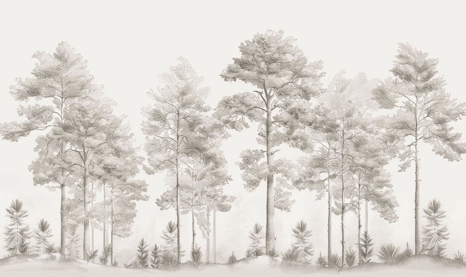 Douceurs des bois - Papier Peint Panoramique Arbres en Beige et Gris - Illulart: Papier peint panoramique