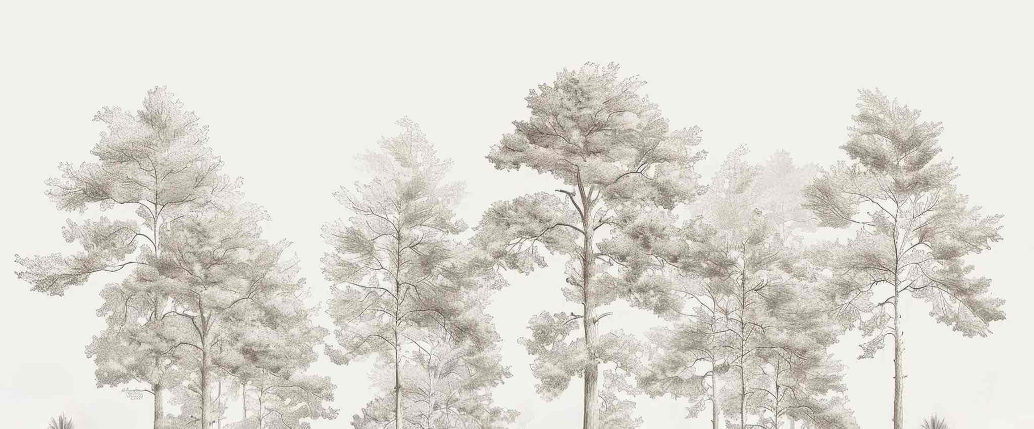 Douceurs des bois - Papier Peint Panoramique Arbres en Beige et Gris