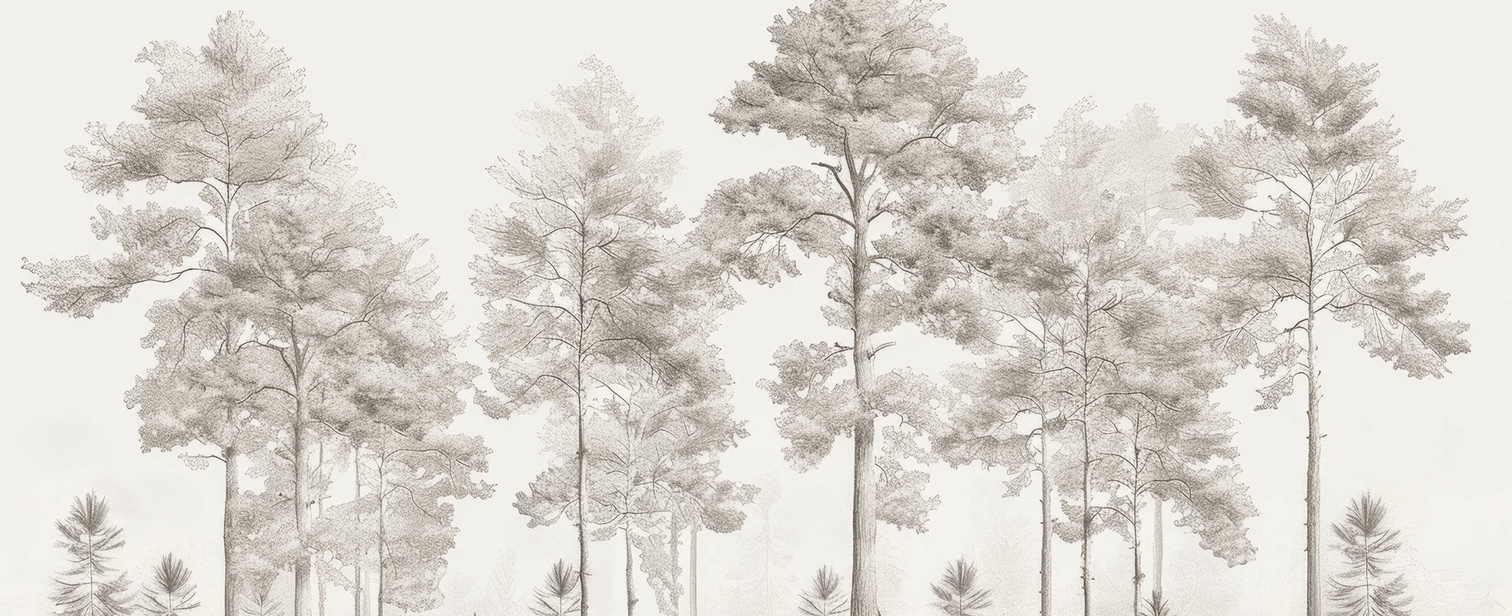 Douceurs des bois - Papier Peint Panoramique Arbres en Beige et Gris - Illulart: Papier peint panoramique
