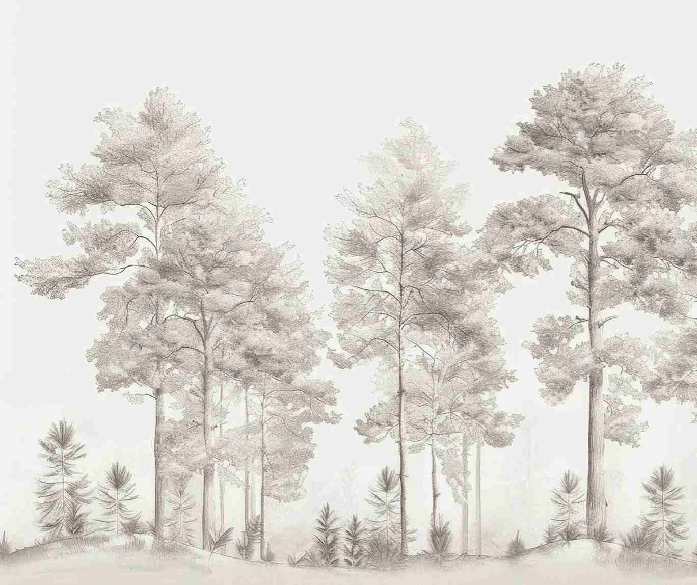 Douceurs des bois - Papier Peint Panoramique Arbres en Beige et Gris - Illulart: Papier peint panoramique