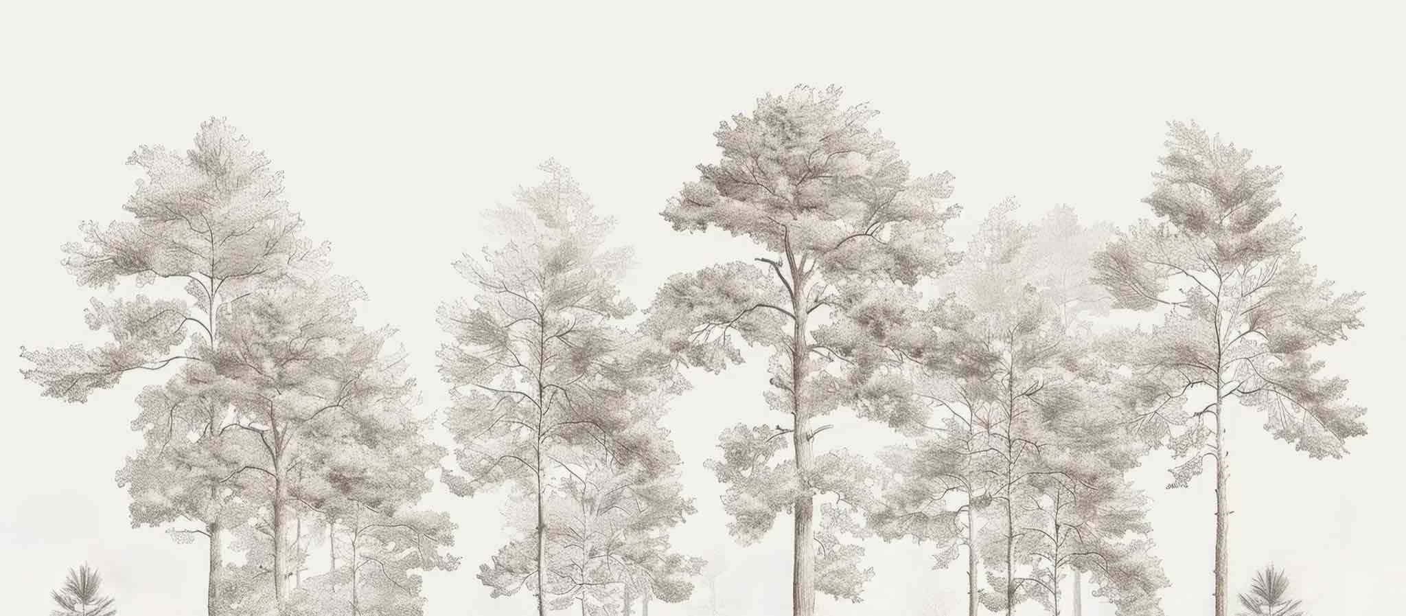 Douceurs des bois - Papier Peint Panoramique Arbres en Beige et Gris - Illulart: Papier peint panoramique