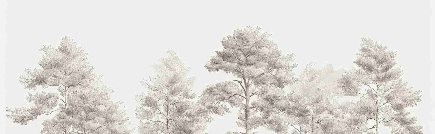 Douceurs des bois - Papier Peint Panoramique Arbres en Beige et Gris - Illulart: Papier peint panoramique