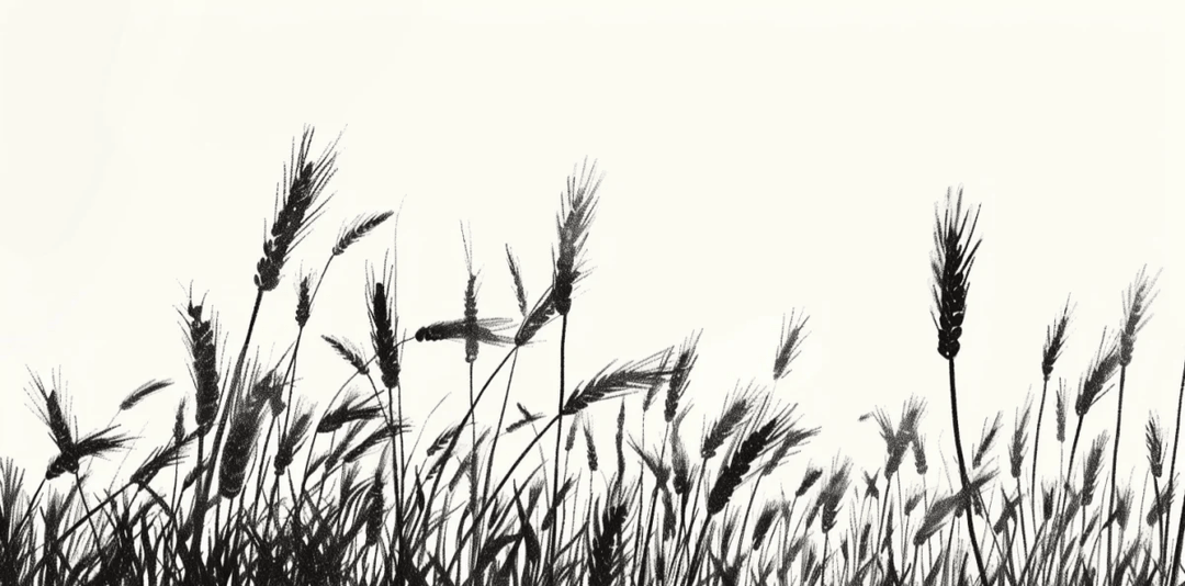 Echos du vent dans les épis - papier peint monochrome - Illulart: Papier peint panoramique