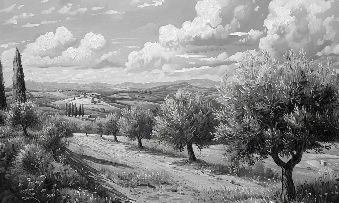 Élégance des Oliviers – Papier Peint Panoramique Noir et Blanc - Illulart: Papier peint panoramique