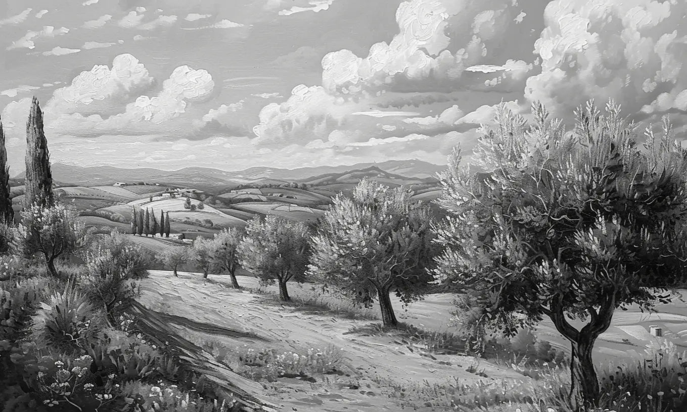 Élégance des Oliviers – Papier Peint Panoramique Noir et Blanc - Illulart: Papier peint panoramique