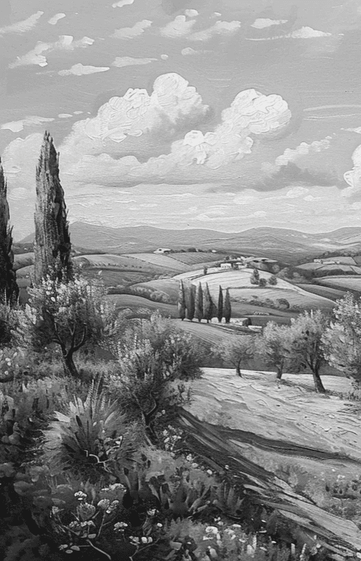 Élégance des Oliviers – Papier Peint Panoramique Noir et Blanc - Illulart: Papier peint panoramique