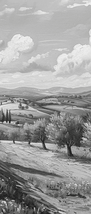 Élégance des Oliviers – Papier Peint Panoramique Noir et Blanc - Illulart: Papier peint panoramique