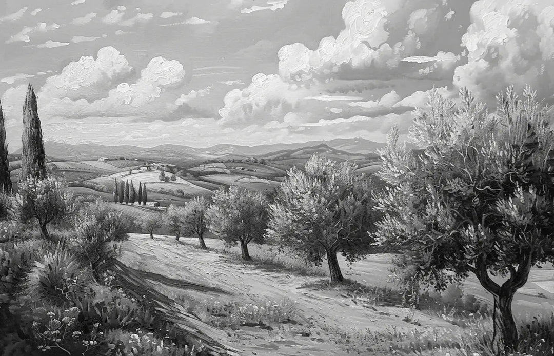 Élégance des Oliviers – Papier Peint Panoramique Noir et Blanc - Illulart: Papier peint panoramique