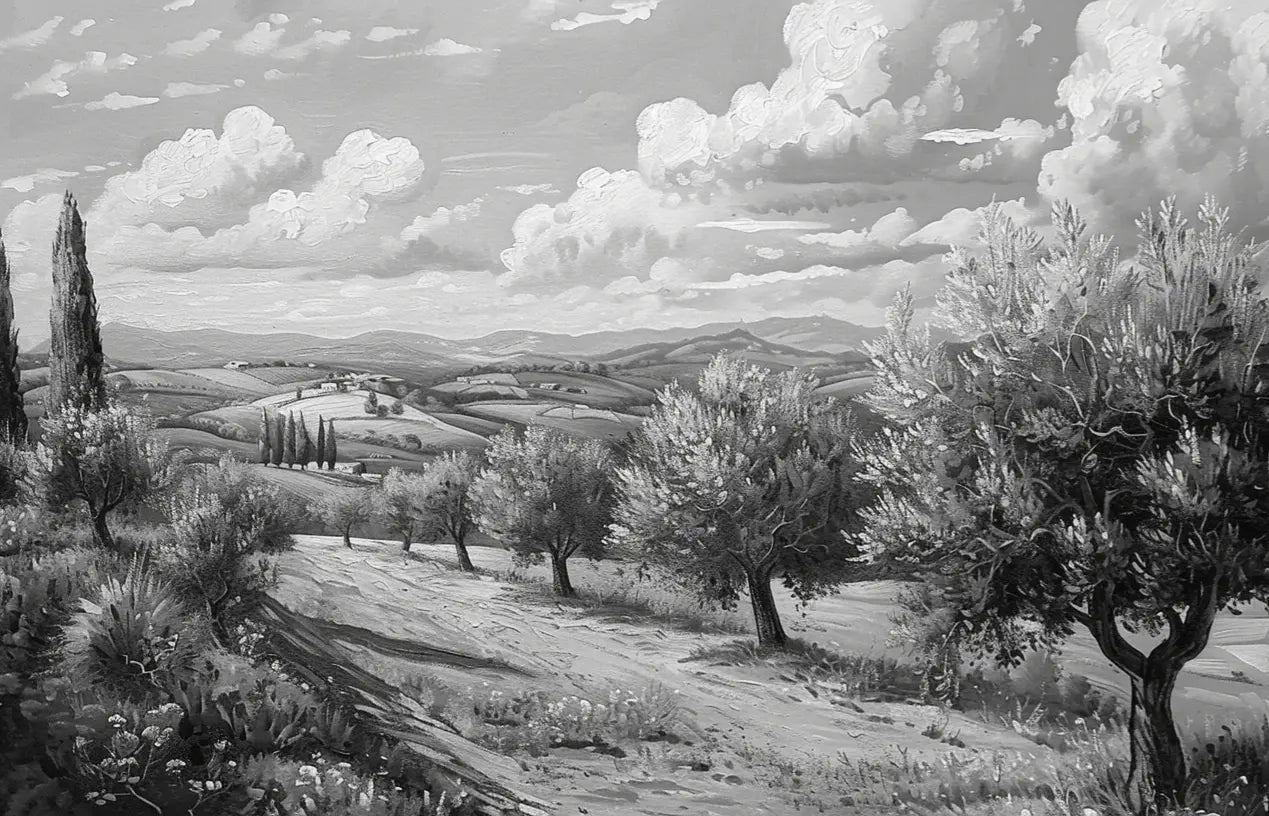 Élégance des Oliviers – Papier Peint Panoramique Noir et Blanc - Illulart: Papier peint panoramique