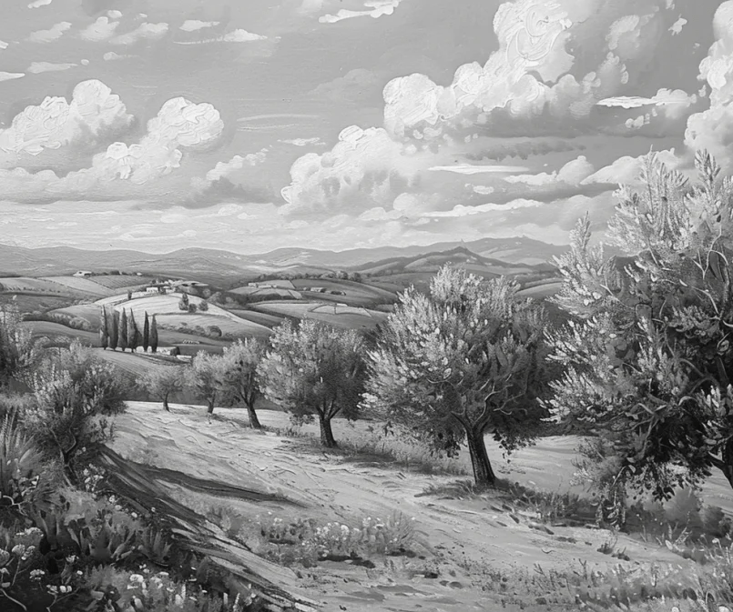 Élégance des Oliviers – Papier Peint Panoramique Noir et Blanc - Illulart: Papier peint panoramique