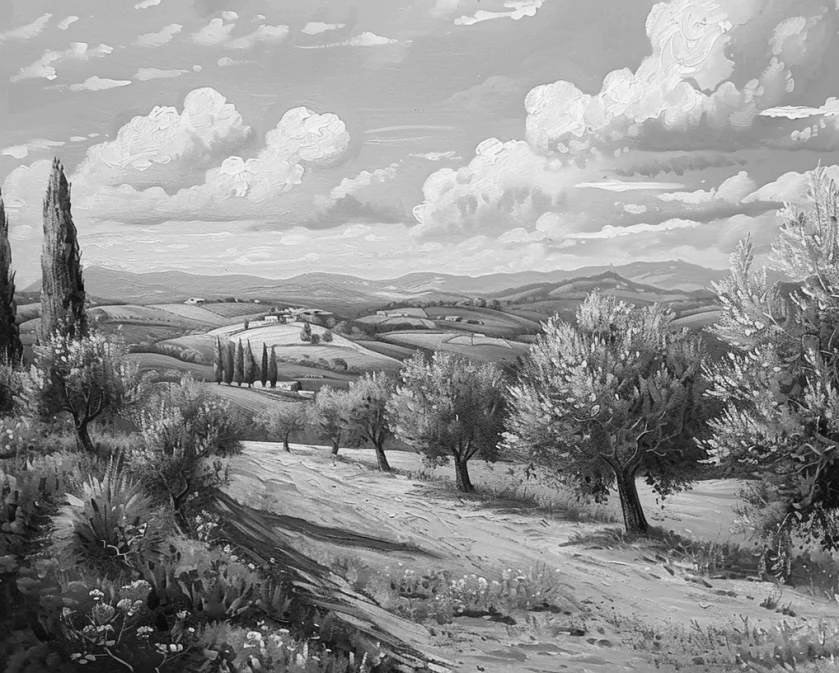 Élégance des Oliviers – Papier Peint Panoramique Noir et Blanc - Illulart: Papier peint panoramique