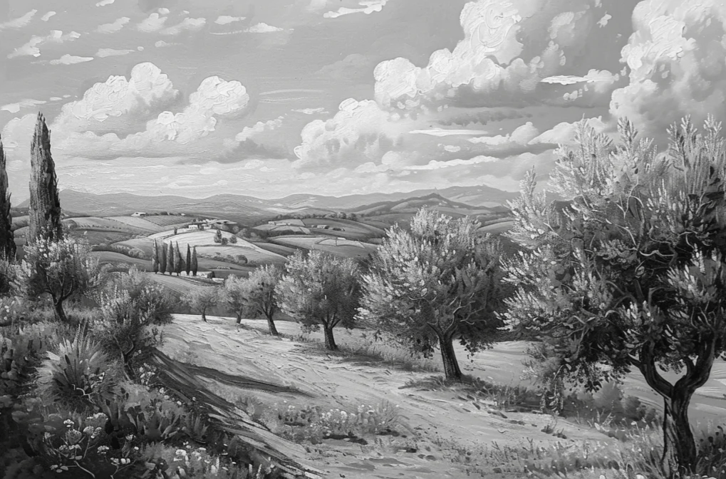 Élégance des Oliviers – Papier Peint Panoramique Noir et Blanc - Illulart: Papier peint panoramique
