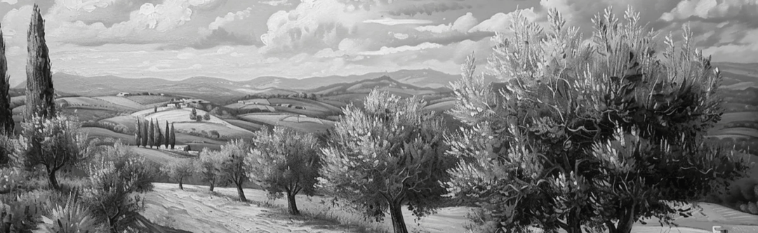 Élégance des Oliviers – Papier Peint Panoramique Noir et Blanc - Illulart: Papier peint panoramique