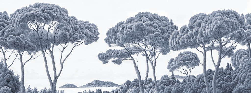 Entre pins et mer cyanotype - Illulart: Papier peint panoramique