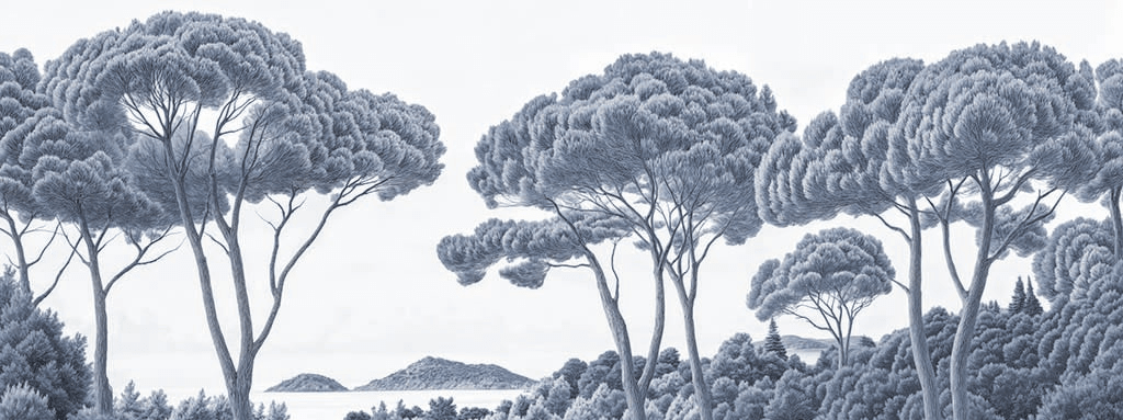 Entre pins et mer cyanotype - Illulart: Papier peint panoramique