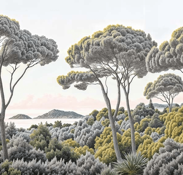 Entre pins et mer - Illulart: Papier peint panoramique
