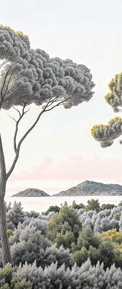 Entre pins et mer - Illulart: Papier peint panoramique