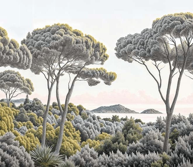 Entre pins et mer - Illulart: Papier peint panoramique
