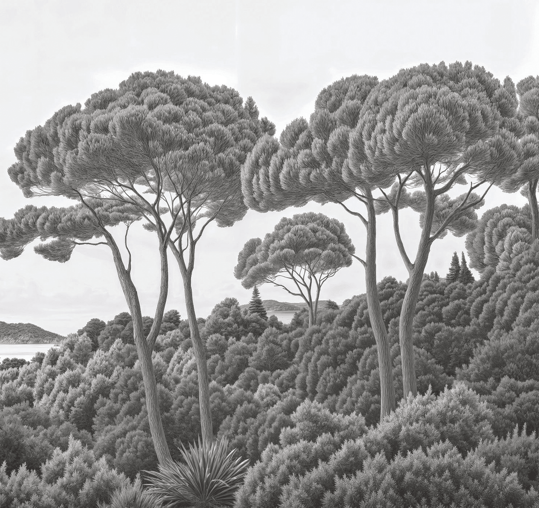 Entre pins et mer noir et blanc - Illulart: Papier peint panoramique
