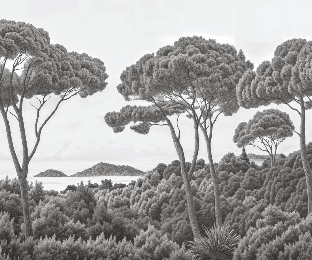 Entre pins et mer noir et blanc - Illulart: Papier peint panoramique