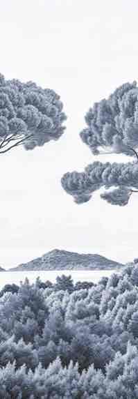 Entre pins et mer – Papier peint forêt méditerranéenne en cyanotype - Illulart: Papier peint panoramique