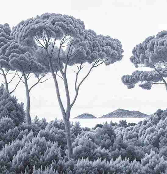 Entre pins et mer – Papier peint forêt méditerranéenne en cyanotype - Illulart: Papier peint panoramique