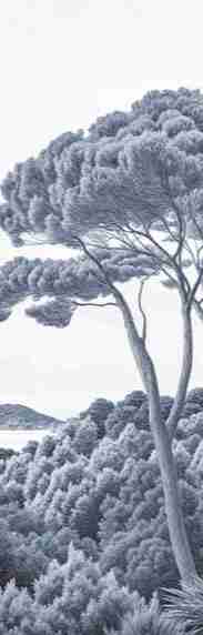 Entre pins et mer – Papier peint forêt méditerranéenne en cyanotype - Illulart: Papier peint panoramique