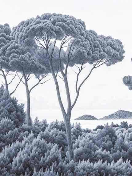 Entre pins et mer – Papier peint forêt méditerranéenne en cyanotype - Illulart: Papier peint panoramique