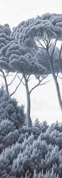 Entre pins et mer – Papier peint forêt méditerranéenne en cyanotype - Illulart: Papier peint panoramique