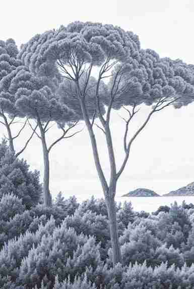 Entre pins et mer – Papier peint forêt méditerranéenne en cyanotype - Illulart: Papier peint panoramique