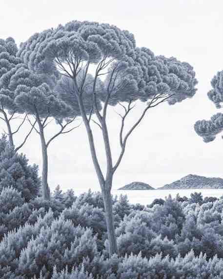 Entre pins et mer – Papier peint forêt méditerranéenne en cyanotype - Illulart: Papier peint panoramique
