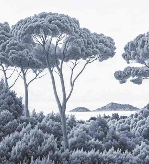 Entre pins et mer – Papier peint forêt méditerranéenne en cyanotype - Illulart: Papier peint panoramique