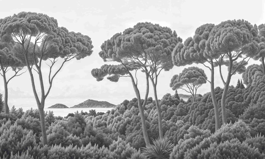 Entre pins et mer – Papier peint forêt méditerranéenne en noir et blanc - Illulart: Papier peint panoramique