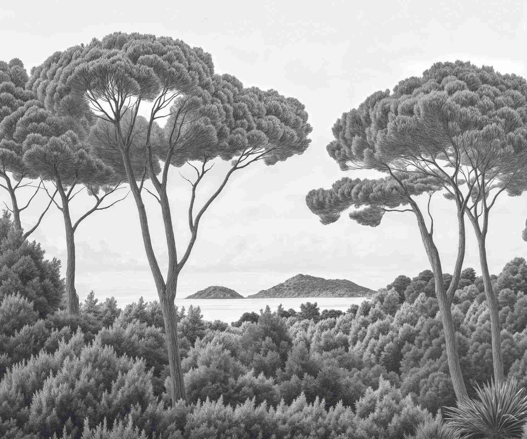 Entre pins et mer – Papier peint forêt méditerranéenne en noir et blanc - Illulart: Papier peint panoramique