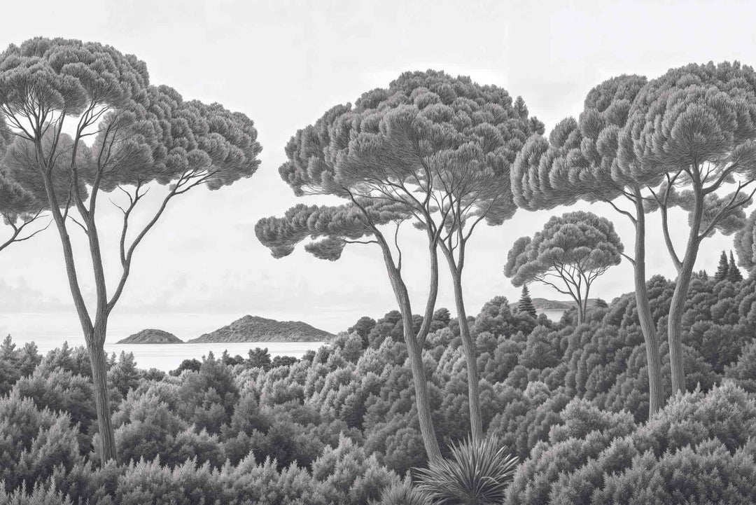 Entre pins et mer – Papier peint forêt méditerranéenne en noir et blanc - Illulart: Papier peint panoramique