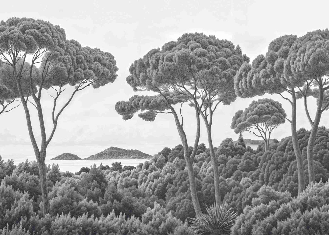 Entre pins et mer – Papier peint forêt méditerranéenne en noir et blanc - Illulart: Papier peint panoramique