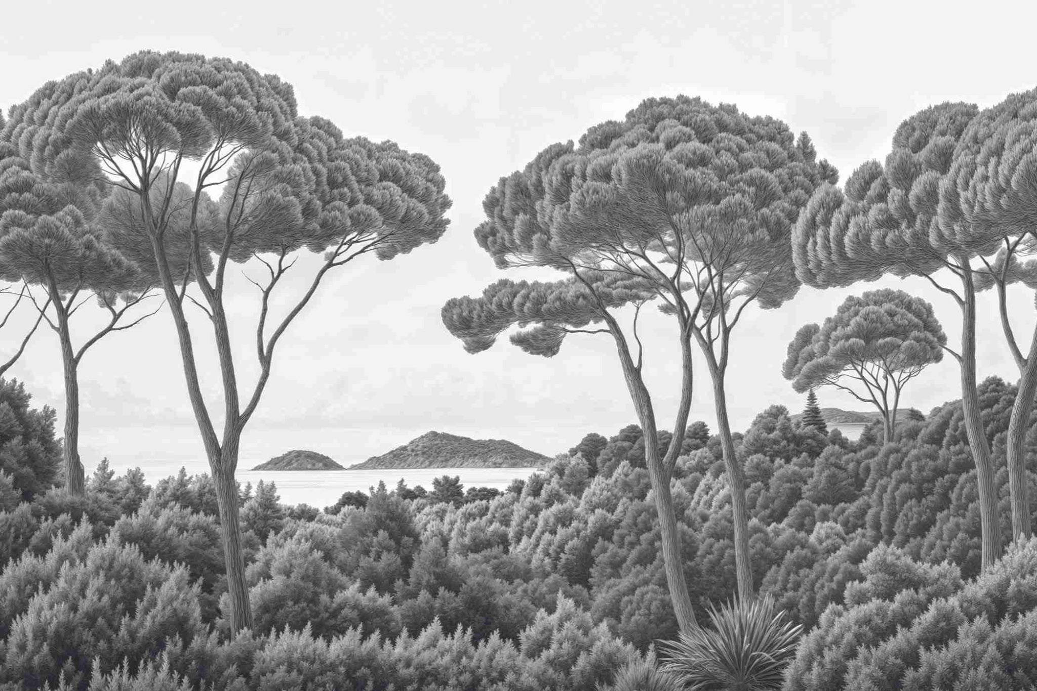 Entre pins et mer – Papier peint forêt méditerranéenne en noir et blanc - Illulart: Papier peint panoramique