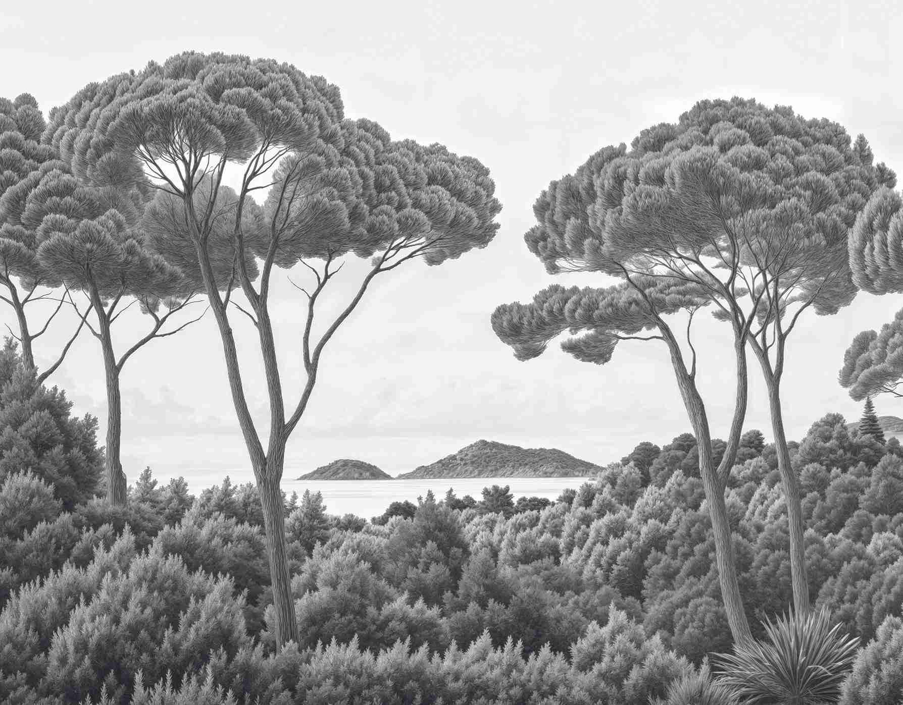 Entre pins et mer – Papier peint forêt méditerranéenne en noir et blanc - Illulart: Papier peint panoramique