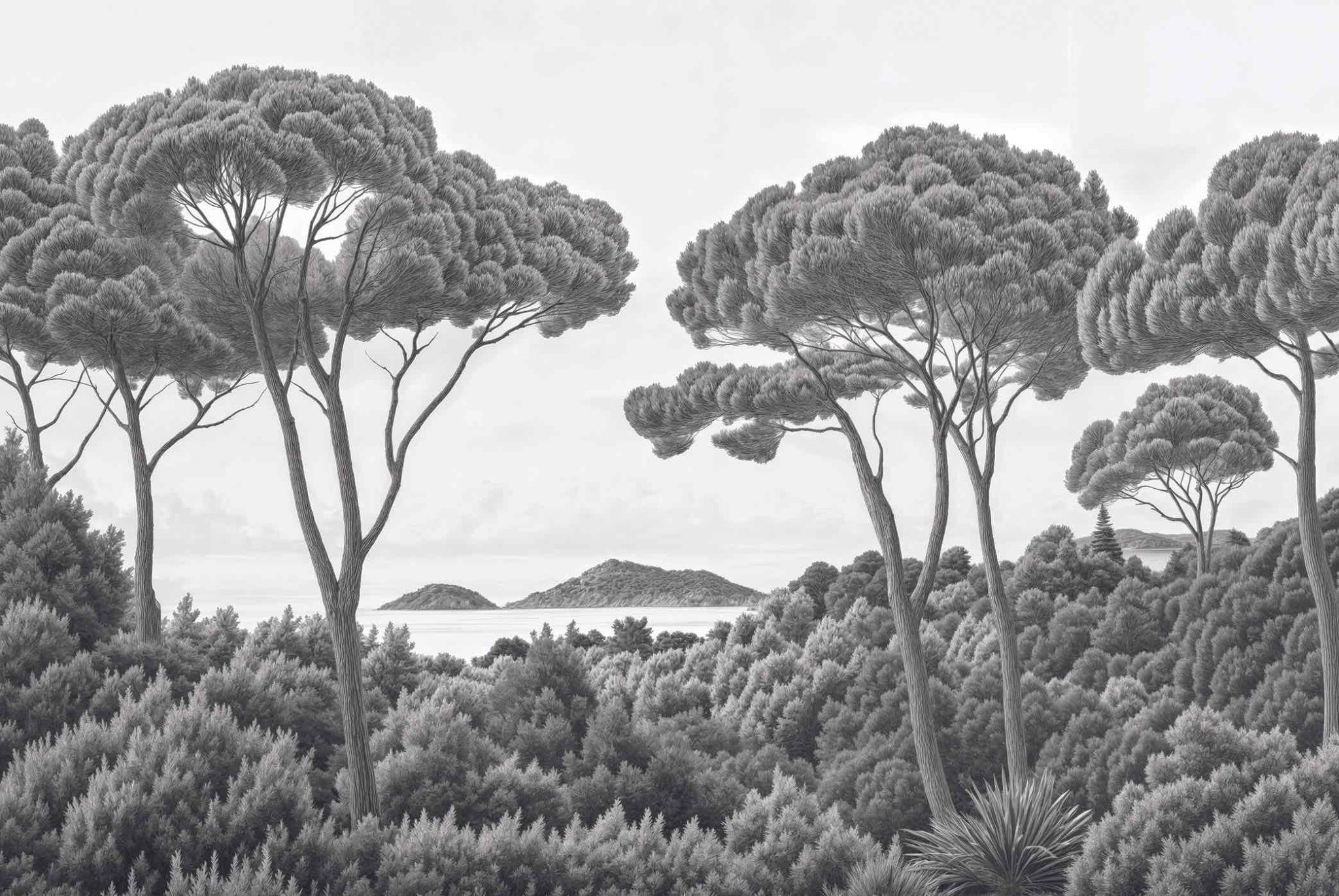 Entre pins et mer – Papier peint forêt méditerranéenne en noir et blanc - Illulart: Papier peint panoramique
