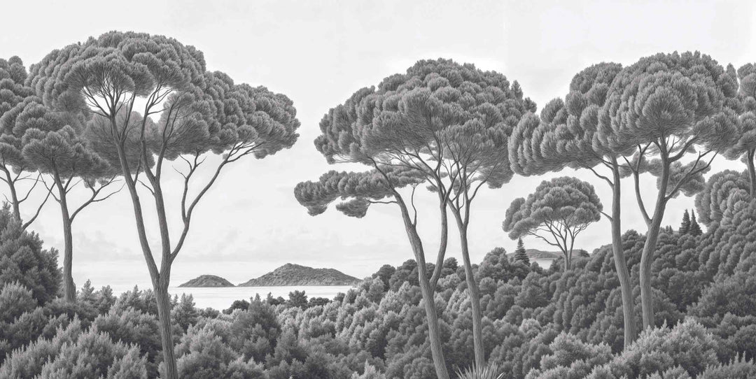 Entre pins et mer – Papier peint forêt méditerranéenne en noir et blanc - Illulart: Papier peint panoramique