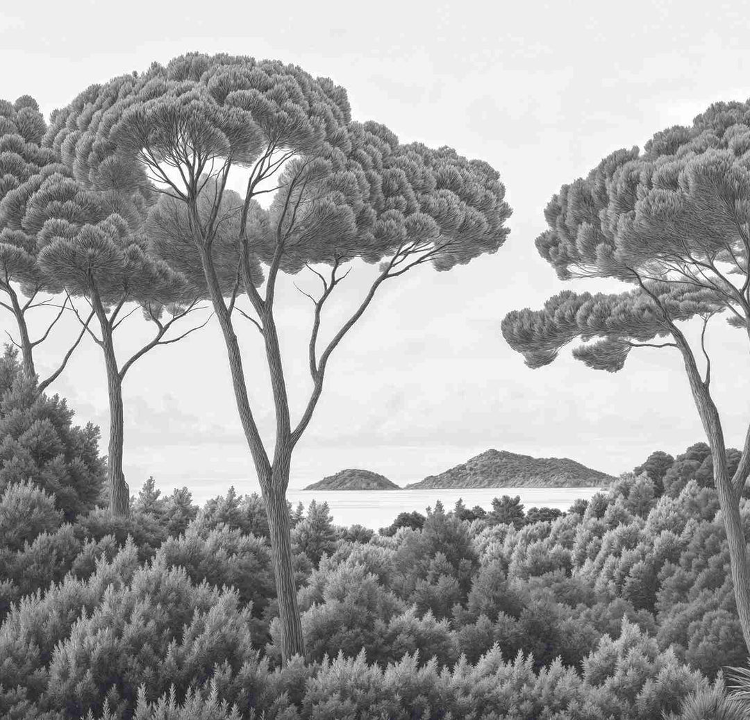 Entre pins et mer – Papier peint forêt méditerranéenne en noir et blanc - Illulart: Papier peint panoramique