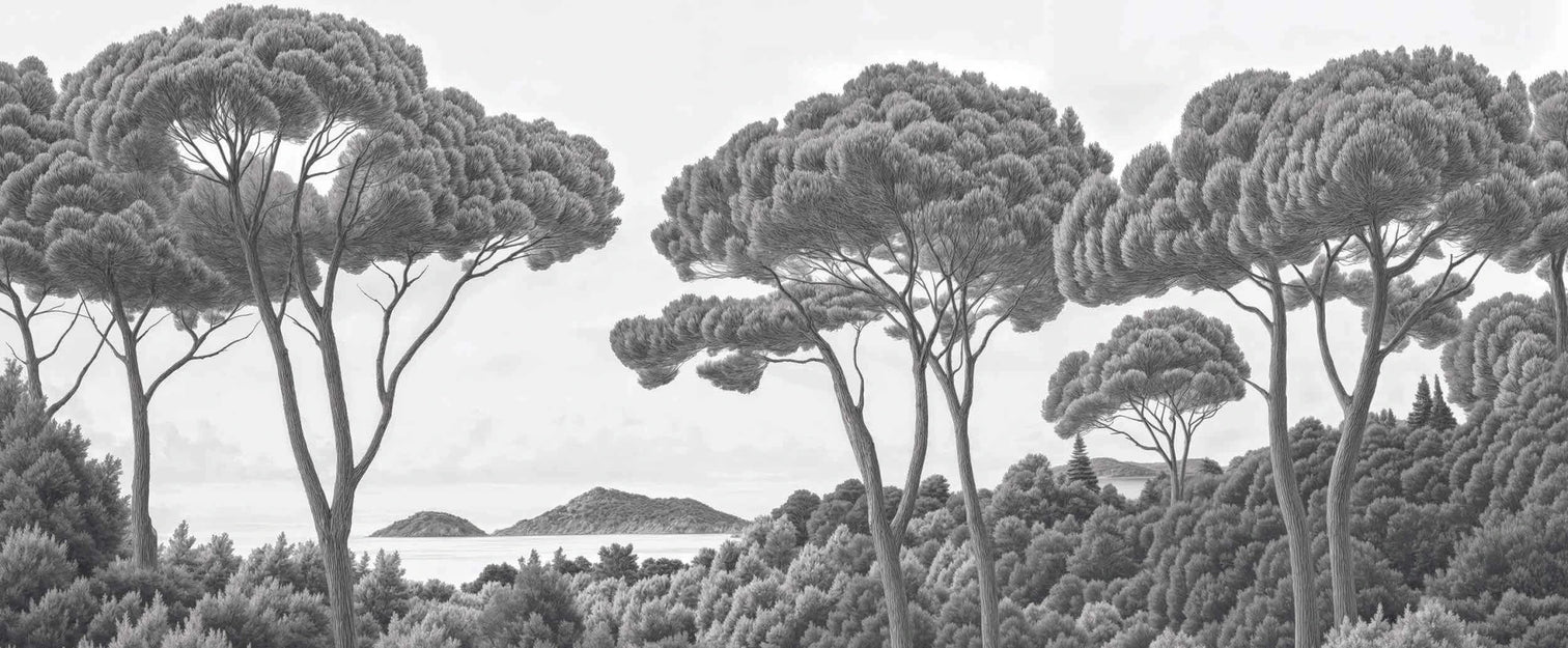 Entre pins et mer – Papier peint forêt méditerranéenne en noir et blanc - Illulart: Papier peint panoramique