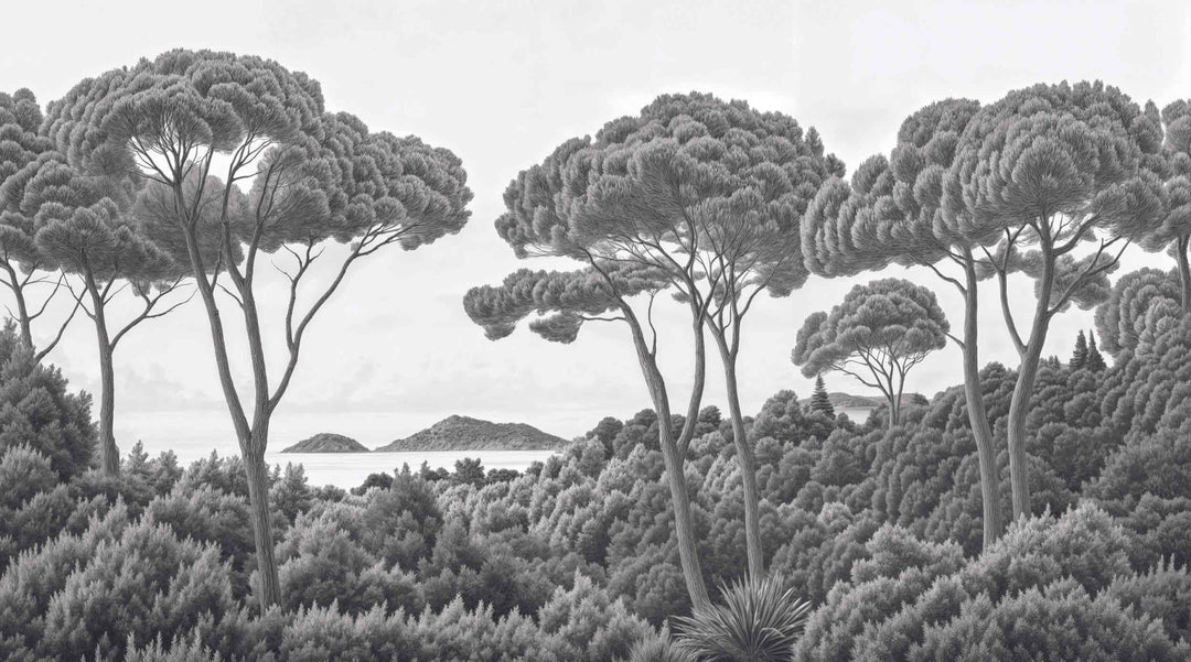 Entre pins et mer – Papier peint forêt méditerranéenne en noir et blanc - Illulart: Papier peint panoramique