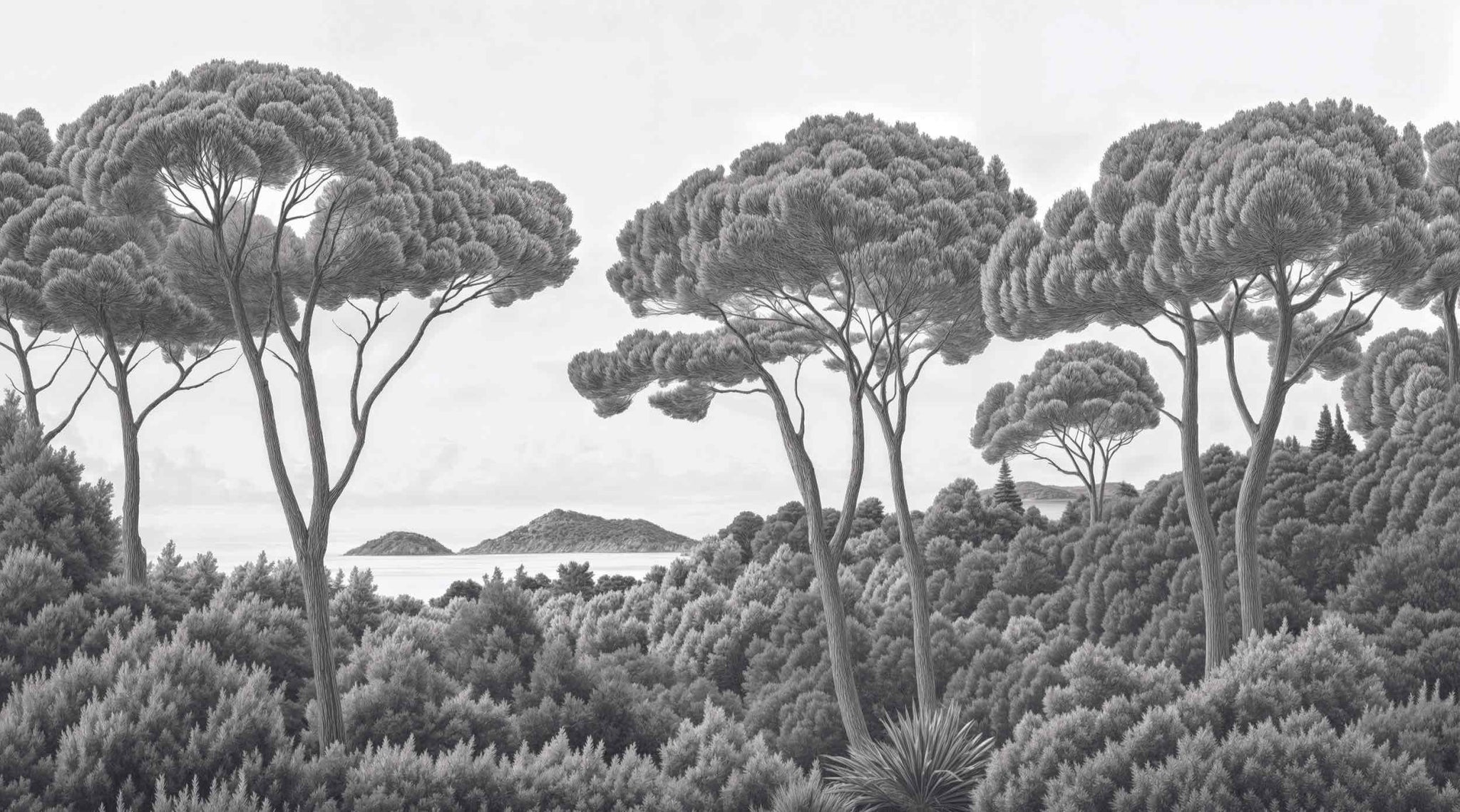 Entre pins et mer – Papier peint forêt méditerranéenne en noir et blanc - Illulart: Papier peint panoramique