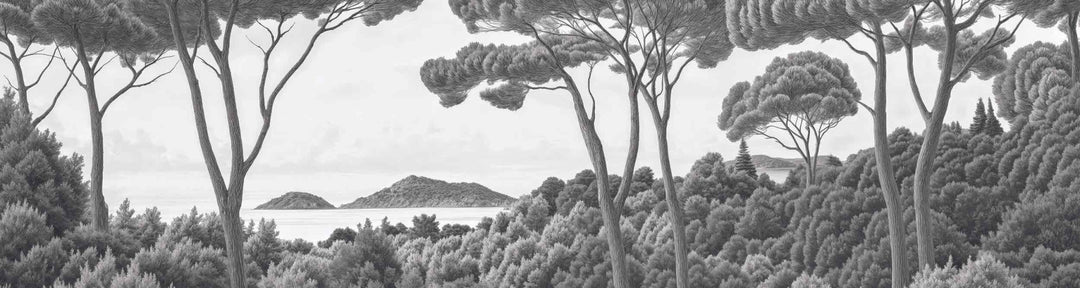Entre pins et mer – Papier peint forêt méditerranéenne en noir et blanc - Illulart: Papier peint panoramique